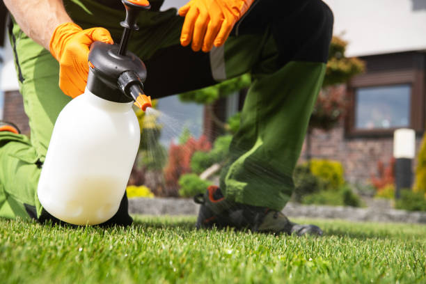 Best Residential Pest Control  in Valinda, CA