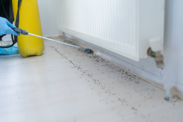 Pest Control Cost in Valinda, CA